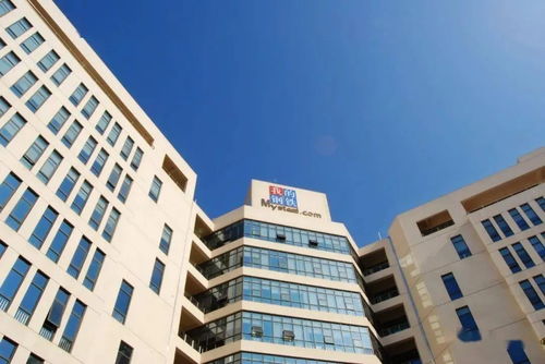 負(fù)反饋未竟，鋼價(jià)磨底中——Mysteel鋼鐵市場(chǎng)周度觀察與房地產(chǎn)咨詢解析